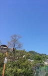 497EEA23-17ED-4D38-B51D-37ED1C4A961A.jpeg